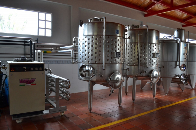 cave-LE PRADET-min_wine_production_cantine_winery_drink_alcohol_vine_beverage-902036